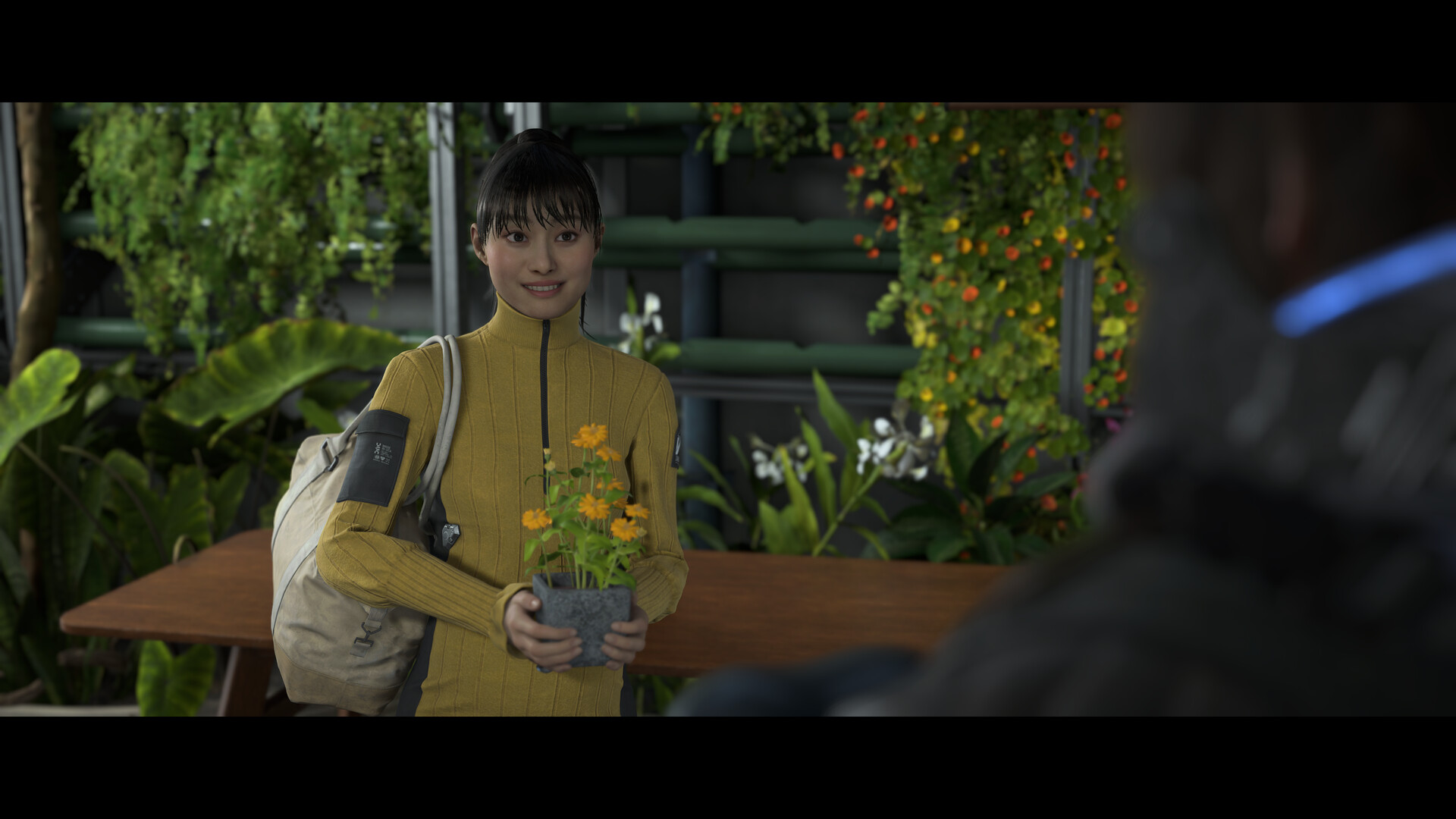 Картинка игры